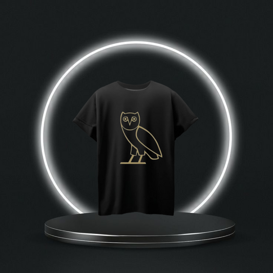DRAKE : OVO